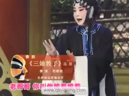 秦腔折子戏《三娘教子》刘红梅 展学昌 杨学兰